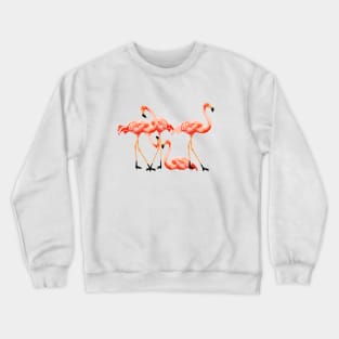 Flamingo Flock, Love Flamingos Tropical Birds Crewneck Sweatshirt